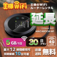 wifi レンタル 延長 5GB / 毎日 30日 無制限 / 高速回線 往復送料無料 Pocket WiFi レンタルwifi ルーター wi-fi 中継器 wifiレンタル ポケットWiFi ポケットWi-Fi 国内 LTE 出張 旅行 入院 一時帰国 テレワーク 在宅 勤務 引越し Macaroon-M1