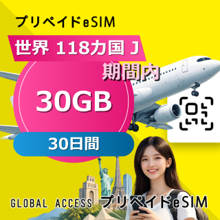 世界 118カ国 J eSIM 30GB 30日間