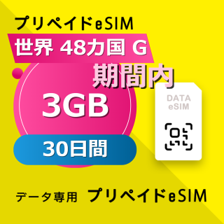 世界 48カ国 G 3GB / 30日間