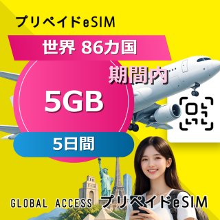 世界 86カ国 eSIM 5GB 5日間