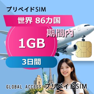 世界 86カ国 SIMカード 1GB 3日間