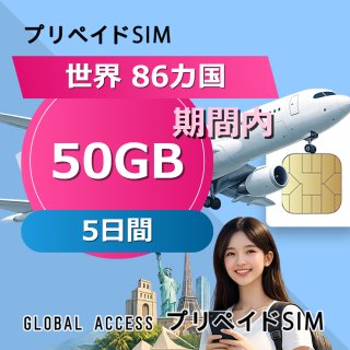 世界 86カ国 SIMカード 50GB 5日間