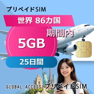 世界 86カ国 SIMカード 5GB 25日間