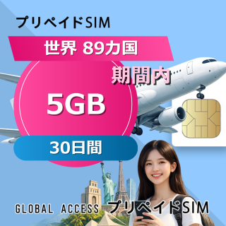 世界 89カ国 5GB / 30日間