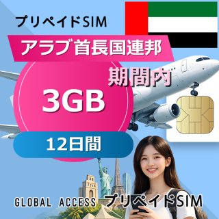 アラブ首長国連邦 SIMカード 3GB 12日間
