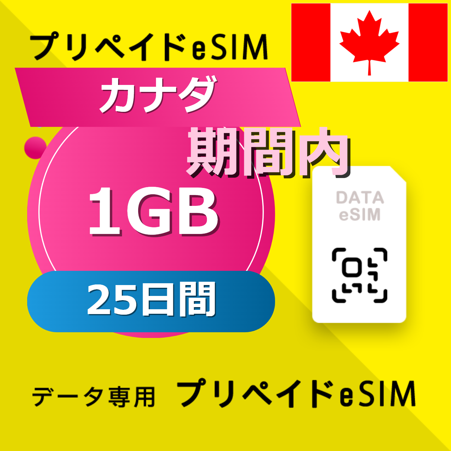 カナダ (アメリカ・カナダ) 1GB / 25日間