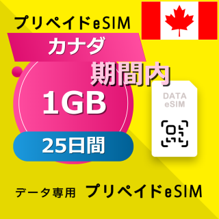 カナダ (アメリカ・カナダ) 1GB / 25日間