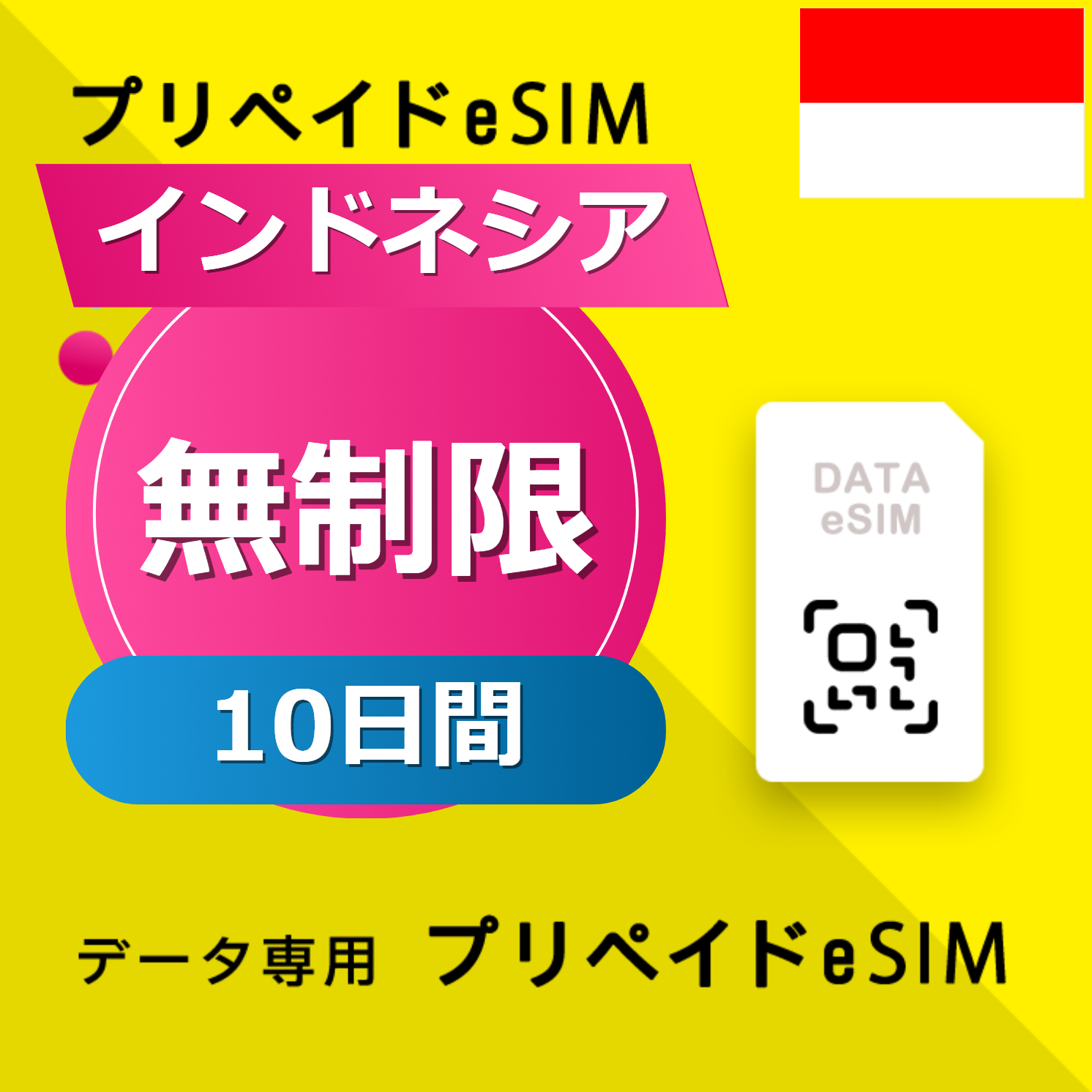 インドネシア 無制限 / 10日間
