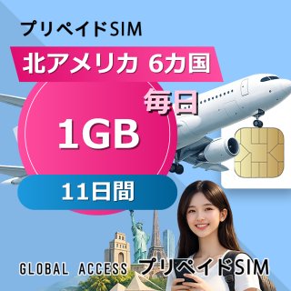 北アメリカ 6カ国 SIMカード 1GB 毎日 11日間
