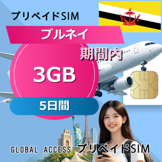 ブルネイ SIMカード 3GB 5日間