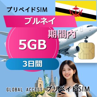 ブルネイ SIMカード 5GB 3日間