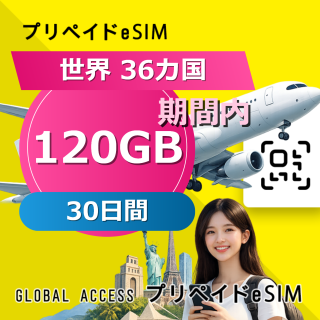 世界 36カ国 eSIM 120GB 30日間