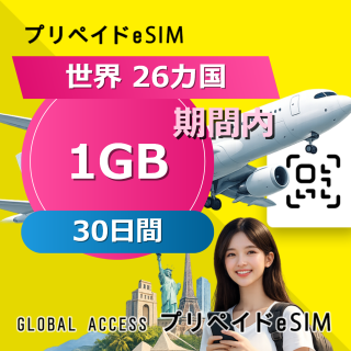 世界 26カ国 eSIM 1GB 30日間