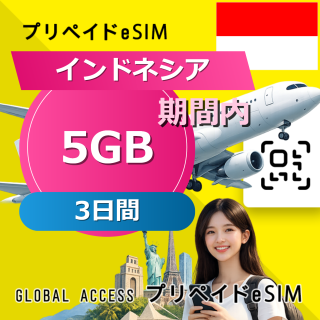 インドネシア eSIM 5GB 3日間