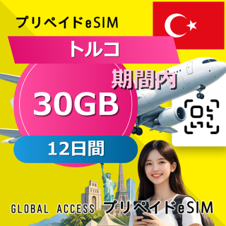 トルコ eSIM 30GB 12日間