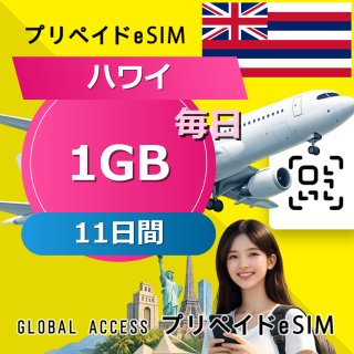 ハワイ eSIM 1GB 毎日 11日間